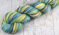 BUSAN BEAUTY: Organic Merino - DK Weight - Hand dyed variegated yarn