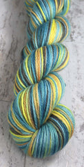 BUSAN BEAUTY: Organic Merino - DK Weight - Hand dyed variegated yarn