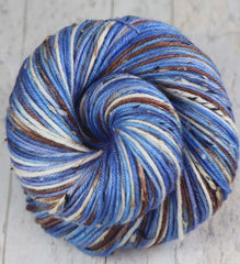 OUTRIGGER RUN: SW Merino Wool/Donegal Tweed - Hand dyed variegated DK yarn