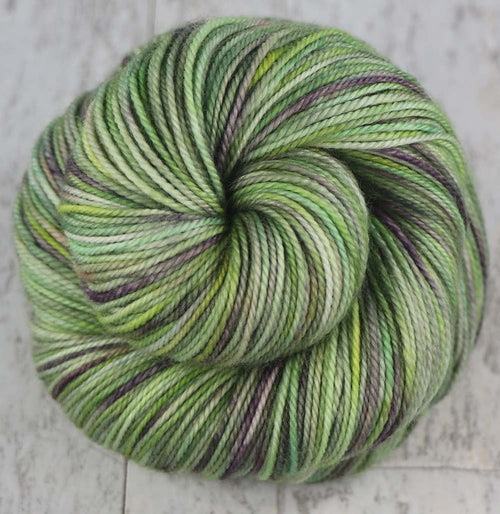 SUCCULENT PANEL: SW Merino-Nylon - Sport weight - Hand-dyed Variegated yarn