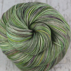 SUCCULENT PANEL: SW Merino/Nylon - Hand dyed Variegated sock yarn