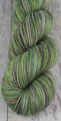 SUCCULENT PANEL: SW Merino/Nylon - Hand dyed Variegated sock yarn