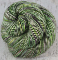 SUCCULENT PANEL: SW Merino/Nylon - Hand dyed Variegated sock yarn