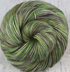 SUCCULENT PANEL: SW Merino / Nylon - Hand dyed variegated sock yarn - tight twist