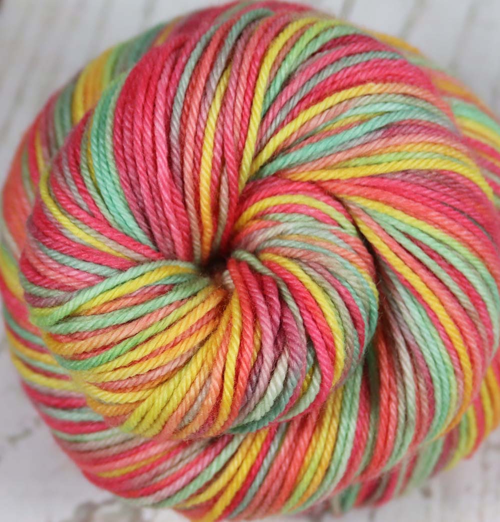 VIBRANCY AT THE PLANTATION: SW Merino-Nylon DK - Hand dyed variegated yarn