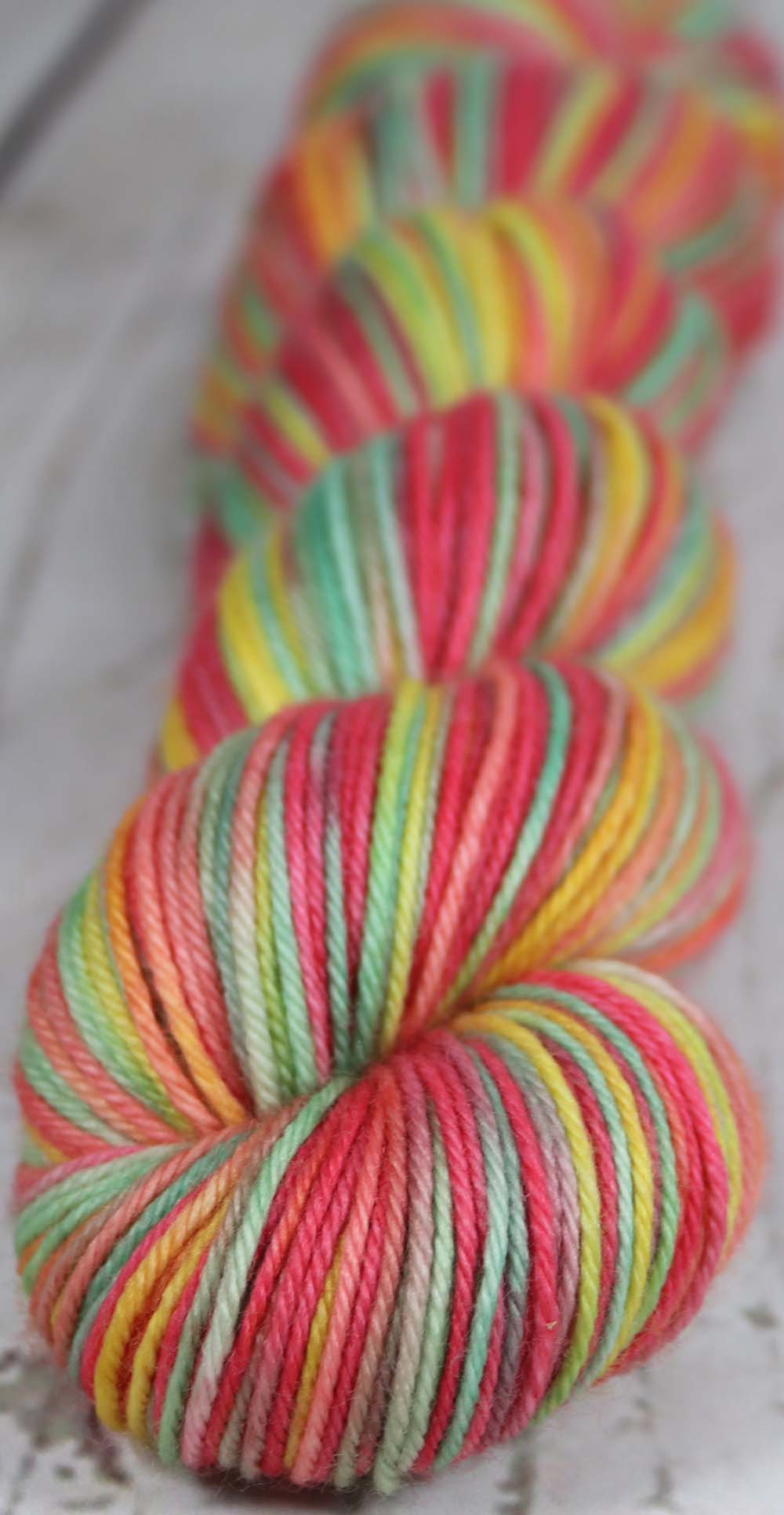 VIBRANCY AT THE PLANTATION: SW Merino-Nylon DK - Hand dyed variegated yarn